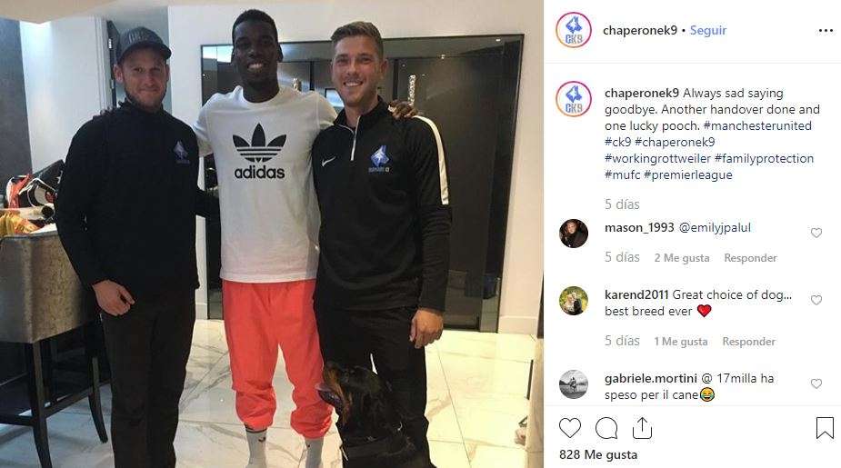 Pogba Buys Rottweiler As Bodyguard