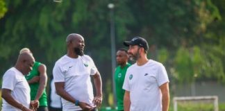 NFF clears air on Finidi, Shorounmu