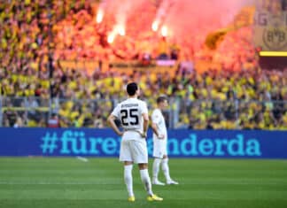 Algerian Defender Joins the Black and Yellow Brigade