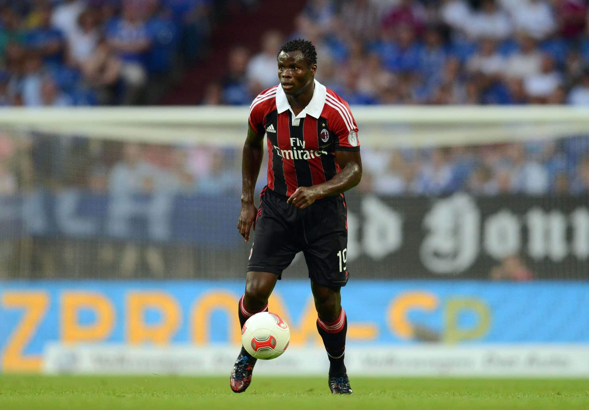 Icon fir 240712 36 04