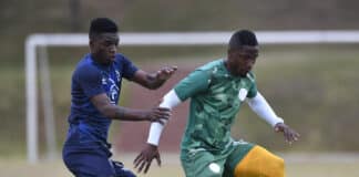 Swallows vs Cape Town City lineups and 3 predictions &ndash; Premier Soccer League (PSL)
