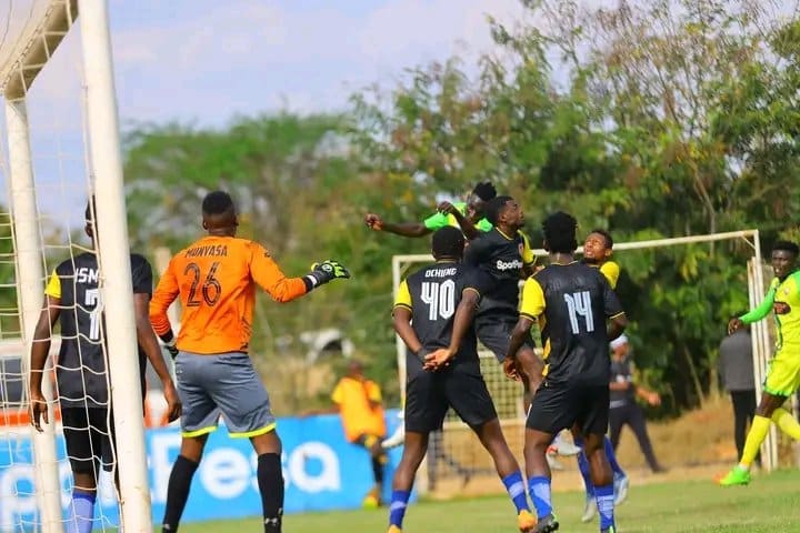 newly promoted Murang'a seals holding their own in the fkf kenya premier league