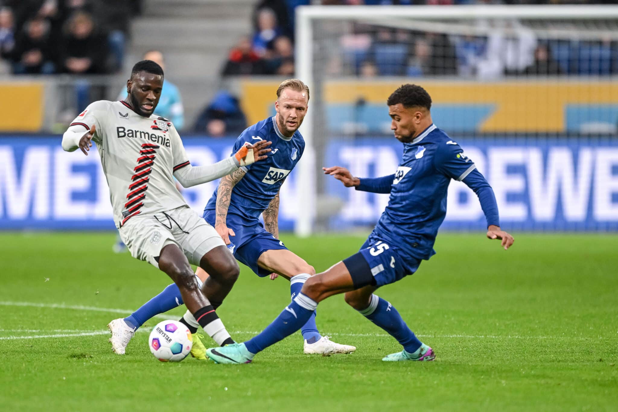 ICONSPORT 541 TSGBAY20231104 010