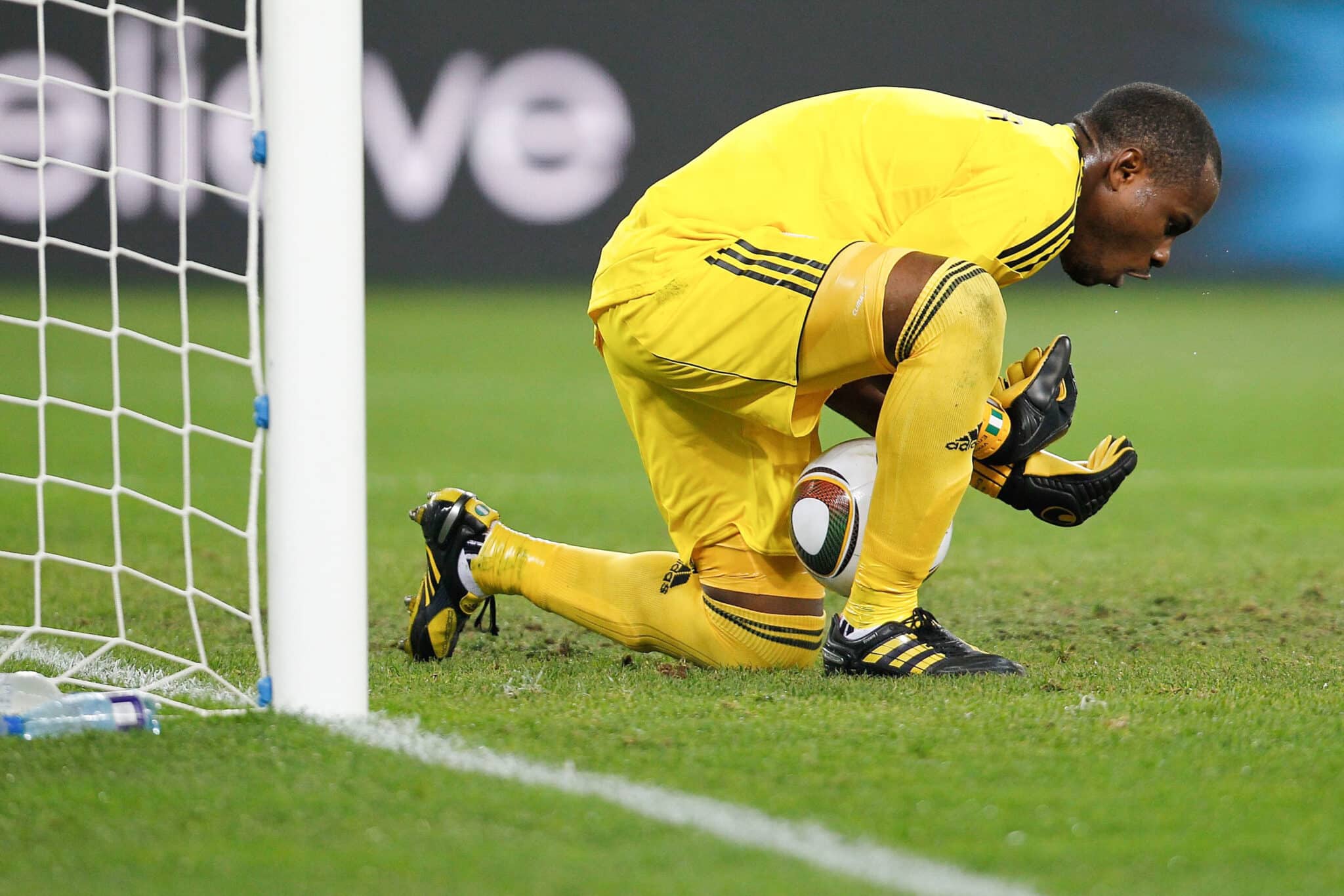 vincent Enyeama in goal for the Super Eagles