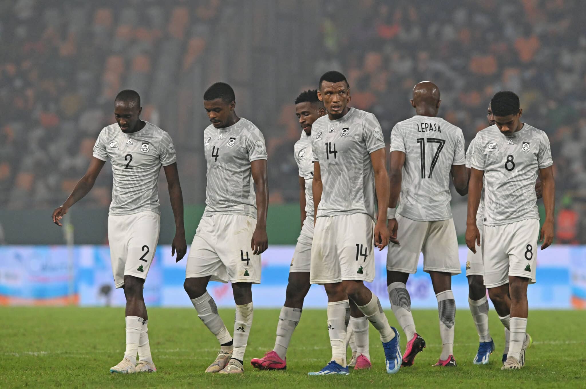 The meaning of Bafana Bafana