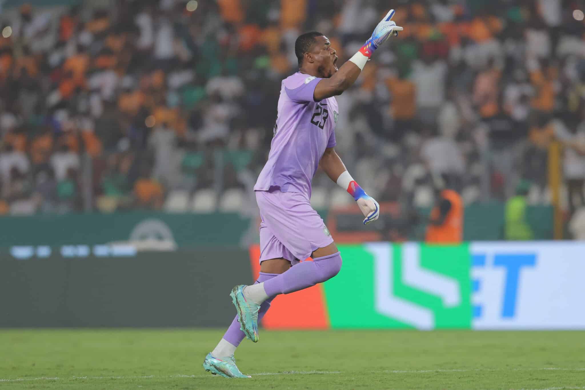 Nwabali - Super Eagles hero