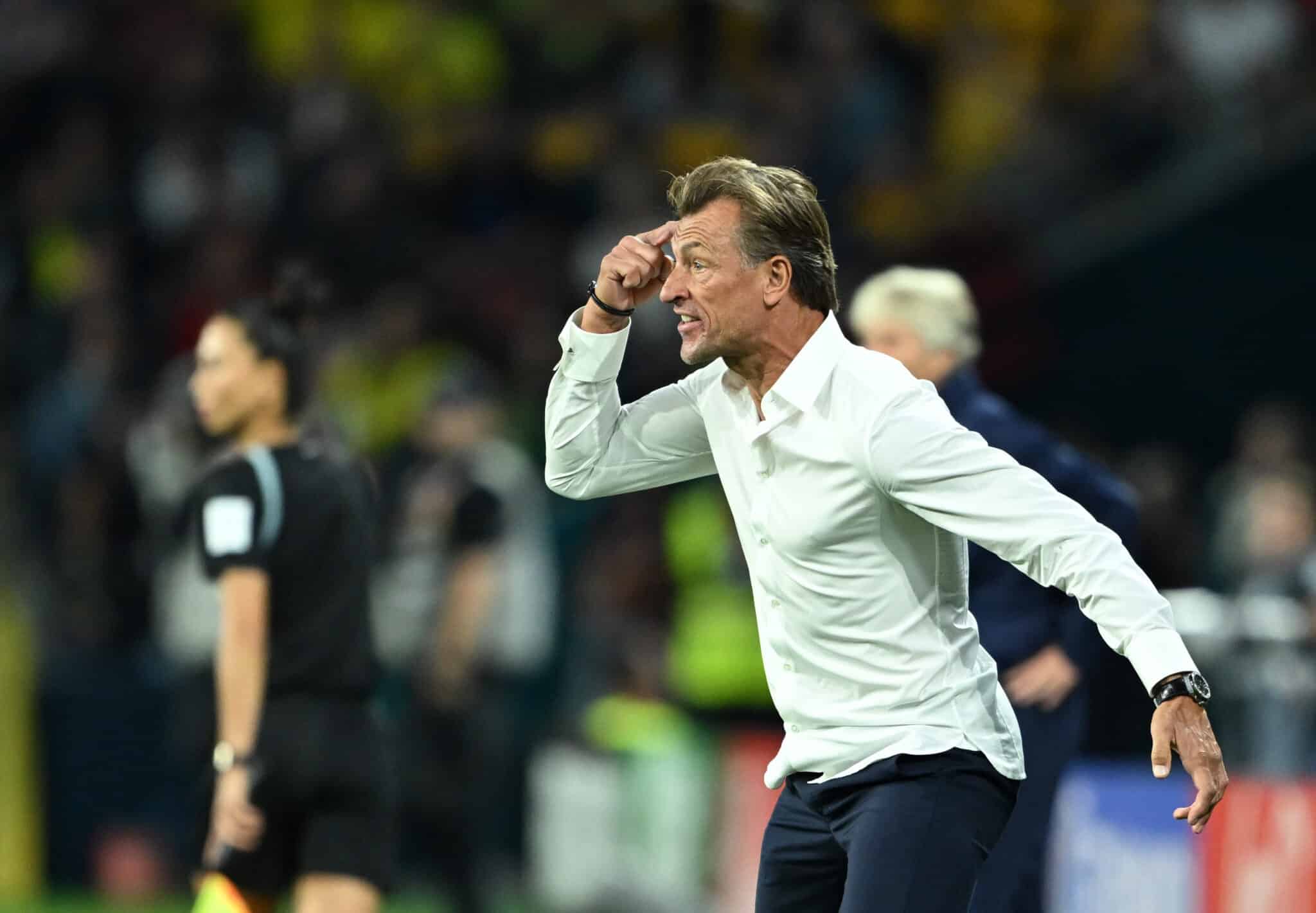 Herv&Atilde;&copy; Renard on the cards for Super Eagles