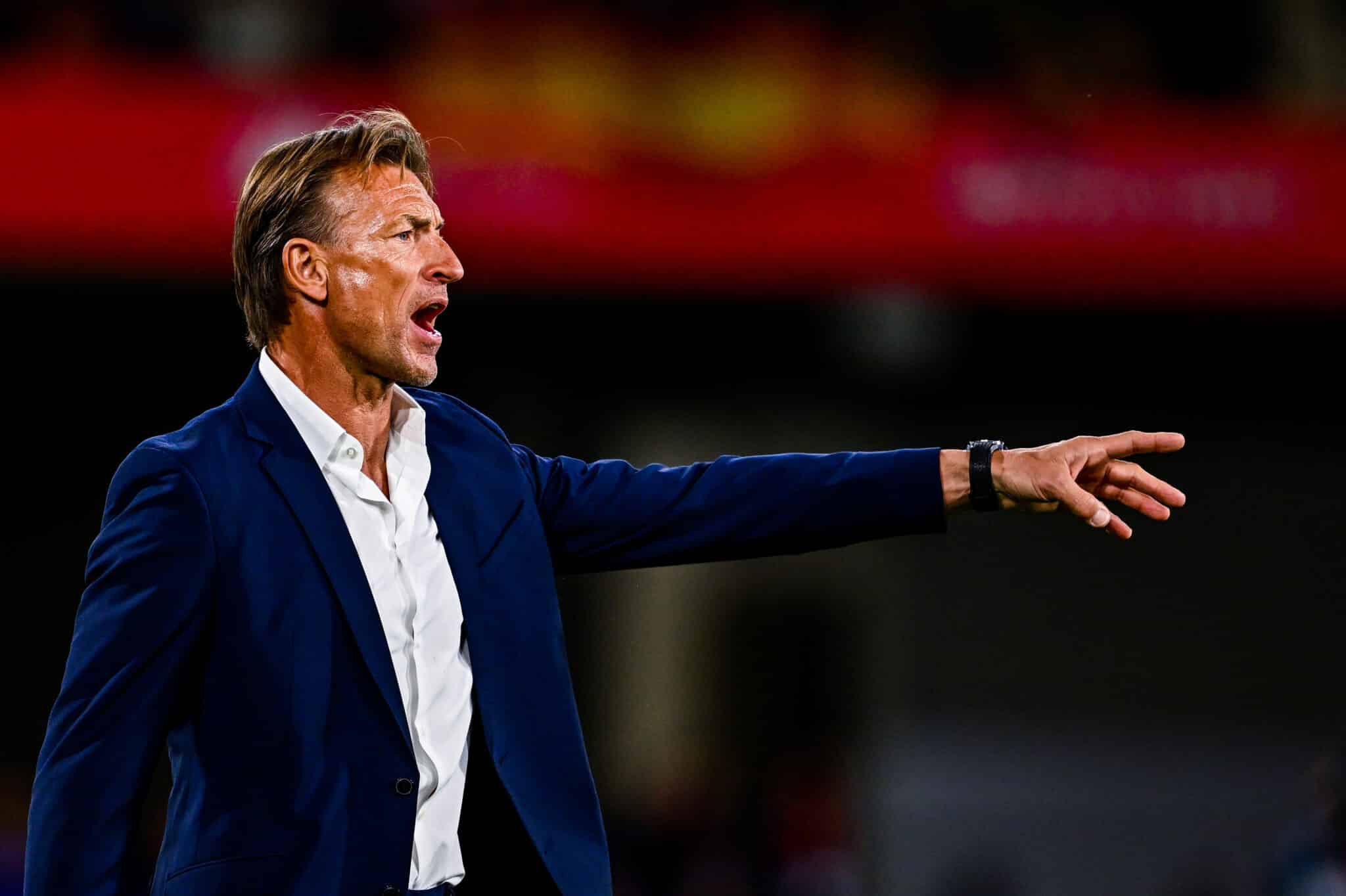 Will Herv&Atilde;&copy; Renard accept the Super Eagles job