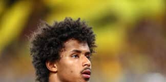 Karim Adeyemi profile &ndash; origin, salary, net worth